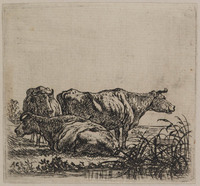 TvB G 0629
<br/>
Drie koeien
<br/>
<em>Cuyp, Aelbert (1620-1691)</em>